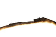 burned paper
