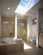 Skylight above Contemporary Bathroom
