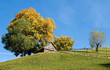 Autumn colors in Transylvania, Romania Autumn colors in Transylvania, Romania