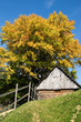 Autumn in Carpathians, Romania Autumn in Carpathians, Romania