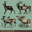 Stag and elk vector background