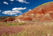 Painted Hills, Mitchell, Oregon