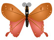 butterfly