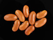 Brown beans isolated on white Brown beans isolated on white