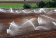 irrigation of agricultural field