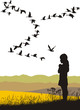 Geese in autumn departing Geese in autumn departing