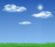 green grass under blue sky