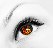 Photo: fire eye fire eye