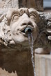 fontaine