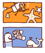 starfish & whale