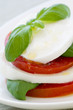 Tomaten Mozzarella