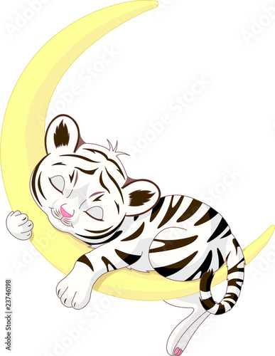 cute white tiger wallpaper. cute white tiger wallpaper. Likephotobucket picture, this isbaby white first
