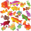 Motley aquarian small fishes. Motley aquarian small fishes.