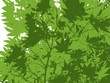 Vector: 20100624_もみじのイラスト 20100624_もみじのイラスト