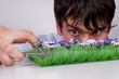 Boy trims lawn. Boy trims lawn.