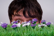 Boy looking through lawn. Boy looking through lawn.