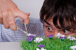 Boy trims lawn. Boy trims lawn.