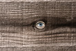 voyeur
