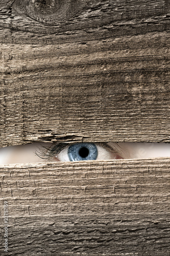 Photo: Watching Watching