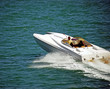 Open Sea Raceboat