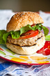 Pork Burger