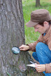 Young man attentively studies a tree bark