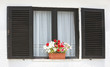 Window with flowers