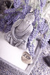 Buddha bei Zen Meditation,  Massage Steine, Lavendel
