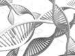 Illustration: DNA Helix DNA Helix