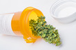 medical marijuana medical marijuana