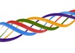 Colorful Ribbons