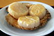 Three Grilled fresh scallops on a shell