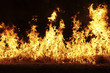 Brennendes Feuer
