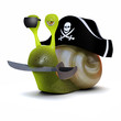 3d Snail pirate