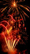 Feux d'Artifice 2009-12