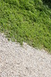 Abstract of grass and small gravel stones