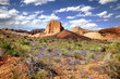 Capitol Reef National Park Capitol Reef National Park