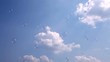 Seifenblasen in den Himmel steigen