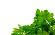 parsley