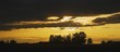 Silhouette Of Trees Under A Sunset