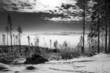 Winter landscape Winter landscape