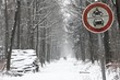 Winterspaziergang