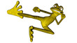 karate frog or kung fu frog