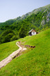 Old house in the mountains, near the forest