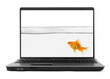 goldfish inside notebook