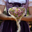 Rosenherz