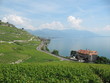 Lavaux and Geneva lake Lavaux and Geneva lake