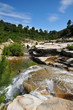 baignade dans la rivière - Corsica