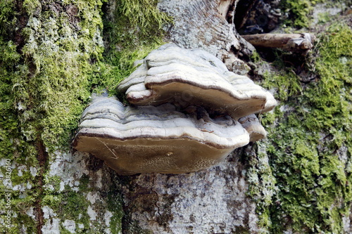 Foto: Zunder Zunder