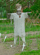 Scarecrow Scarecrow